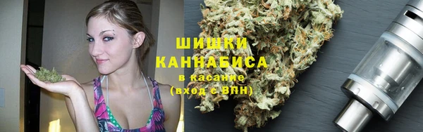 твердый Аркадак