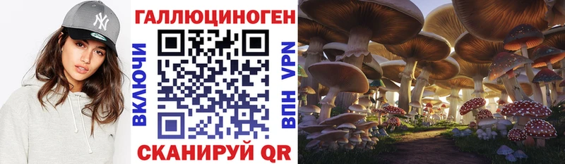 Псилоцибиновые грибы Cubensis  Туринск 